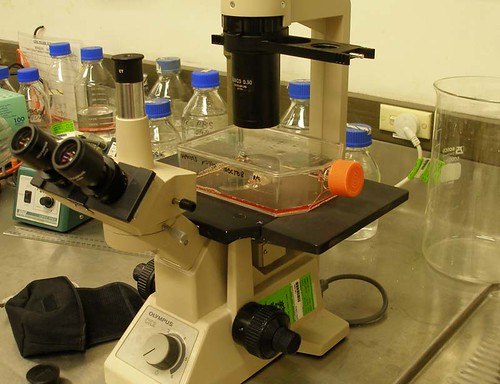Microscope de laboratoire illustrant les chapitres clés de SVT au brevet